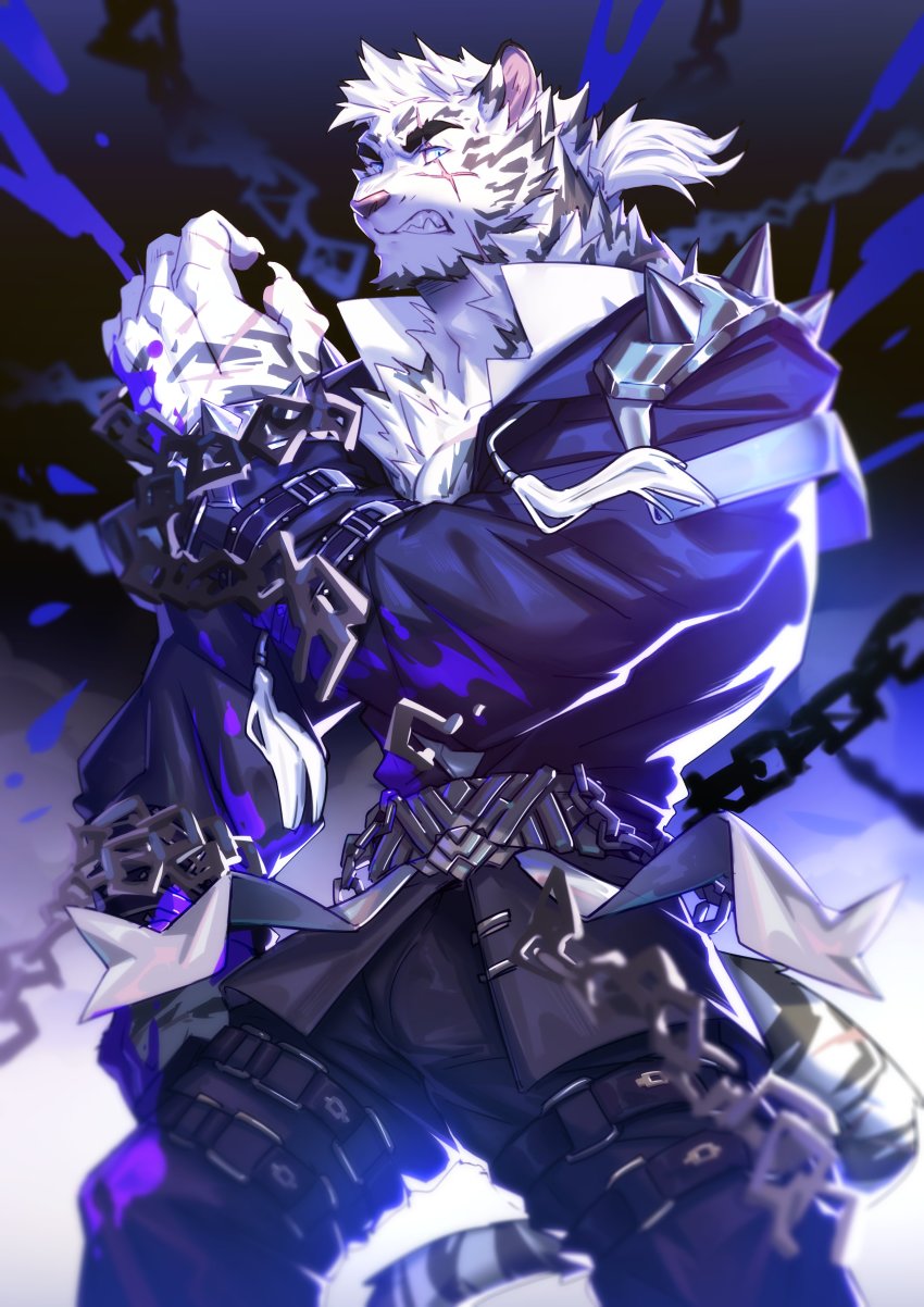 1boy, absurdres, animal_ears, arknights, bara, black_jacket, black_pants, bulge, chain, feet_out_of_frame, fluffy, frown, furry, furry_male, highres, jacket, looking_at_viewer, male_focus, medium_hair, mountain_(arknights), mountain_(dark_cloud)_(arknights), muscular, muscular_male, official_alternate_costume, orzero_(orzero_husky), pants, partially_unbuttoned, scar, scar_across_eye, scar_on_face, scar_on_hand, solo, tiger_boy, tiger_ears, white_fur, white_hair