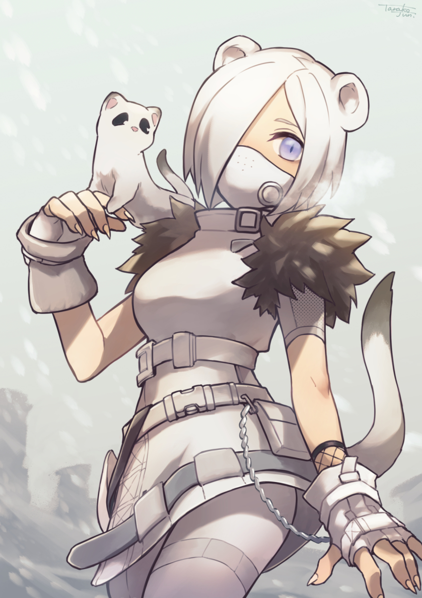 1girl, animal, animal_on_shoulder, arknights, artist_name, blue_eyes, cowboy_shot, ermine