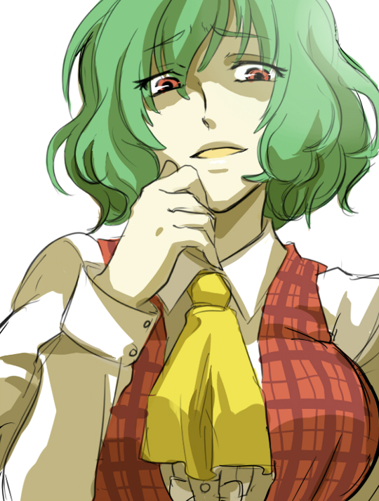 1girl, ascot, bad_id, bad_pixiv_id, breasts, female_focus, hand_on_own_chin, kazami_yuuka