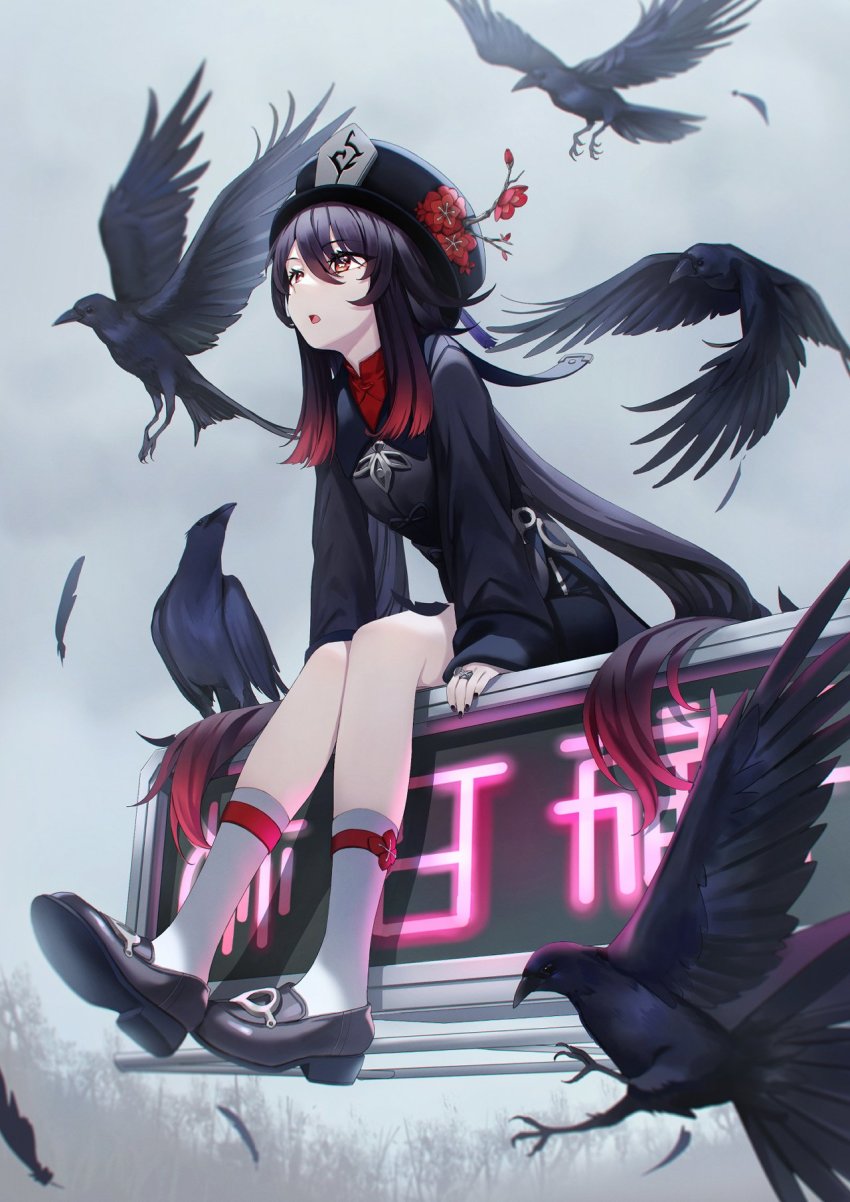 1girl, bird, black_footwear, black_hair, black_shorts, blurry, bob_(bab67ii), brown_eyes, chinese_clothes, commentary, crow, depth_of_field, eyes_visible_through_hair, genshin_impact, grey_background, hair_between_eyes, hat, highres, hu_tao_(genshin_impact), jewelry, kneehighs, long_hair, looking_away, looking_up, ring, shorts, sidelocks, simple_background, sitting, socks, star-shaped_pupils, star_(symbol), symbol-shaped_pupils, translation_request, white_socks