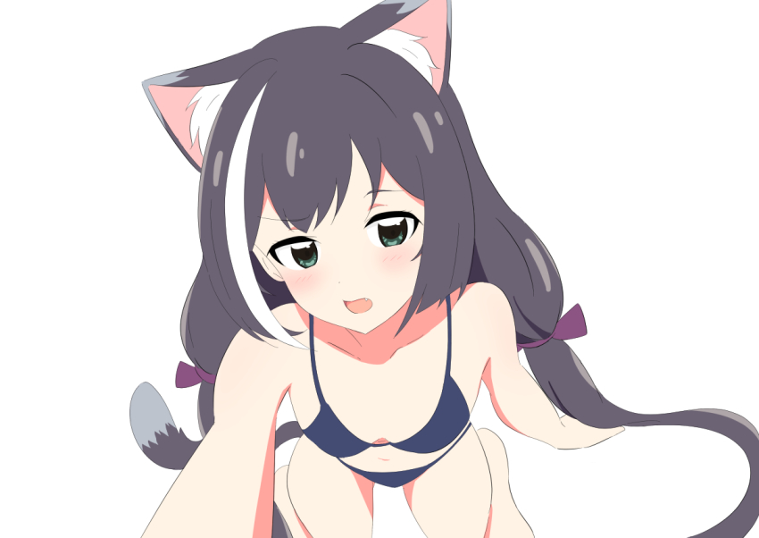 1girl, animal_ears, bikini, black_bra, bra, cat_ears, cat_girl, cat_tail