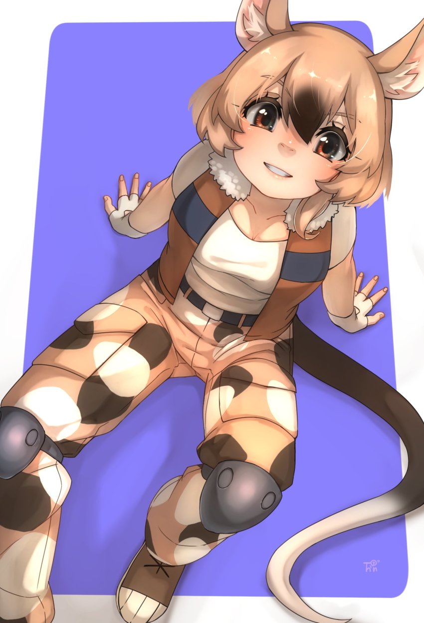 1girl, african_giant_pouched_rat_(kemono_friends), animal_ear_fluff, animal_ears, belt, black_hair, brown_pants, brown_vest, camouflage, camouflage_pants, commentary_request, fingerless_gloves, from_above, gambian_rat_(kemono_friends), gloves, hair_between_eyes, highres, kemono_friends, kemono_friends_3, knee_pads, light_brown_hair, looking_at_viewer, mouse_ears, mouse_girl, mouse_tail, multicolored_hair, open_clothes, open_vest, orange_eyes, pants, shirt, short_hair, short_sleeves, simple_background, sitting, solo, t-shirt, tail, thin_(suzuneya), two-tone_hair, vest, white_gloves, white_shirt