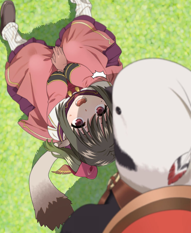 1girl, animal, animal_ears, aquaplus, bird, brown_hair, cocopo_(utawarerumono:_itsuwari_no_kamen), from_above