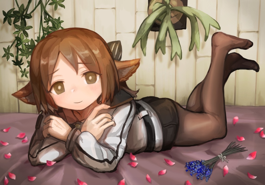 1girl, animal_ears, arknights, black_bow, black_pantyhose, black_shorts, blue_flower, bow, brown_eyes, brown_hair, commentary, dido_(di_do_di_do), feet_up, flower, fox_ears, hair_bow, hanging_plant, highres, jacket, looking_at_viewer, lying, missing_tail, official_alternate_costume, on_bed, on_stomach, pantyhose, pantyhose_under_shorts, perfumer_(arknights), perfumer_(species_plantarum)_(arknights), petals, pink_petals, short_hair, shorts, solo, white_jacket