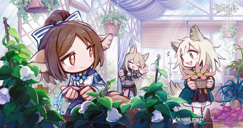 3girls, animal_ear_fluff, animal_ears, arknights, blonde_hair, blouse, breeze_(arknights), brown_hair