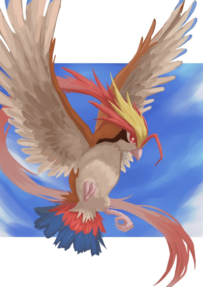 bird, bright_pupils, closed_mouth, day, gen_1_pokemon, highres, looking_down, mega_pidgeot