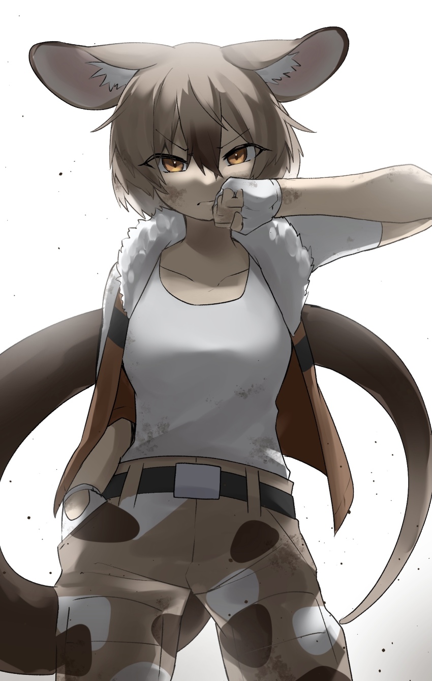 >:(, 1girl, animal_ears, backlighting, bare_arms, belt, brown_eyes, brown_hair