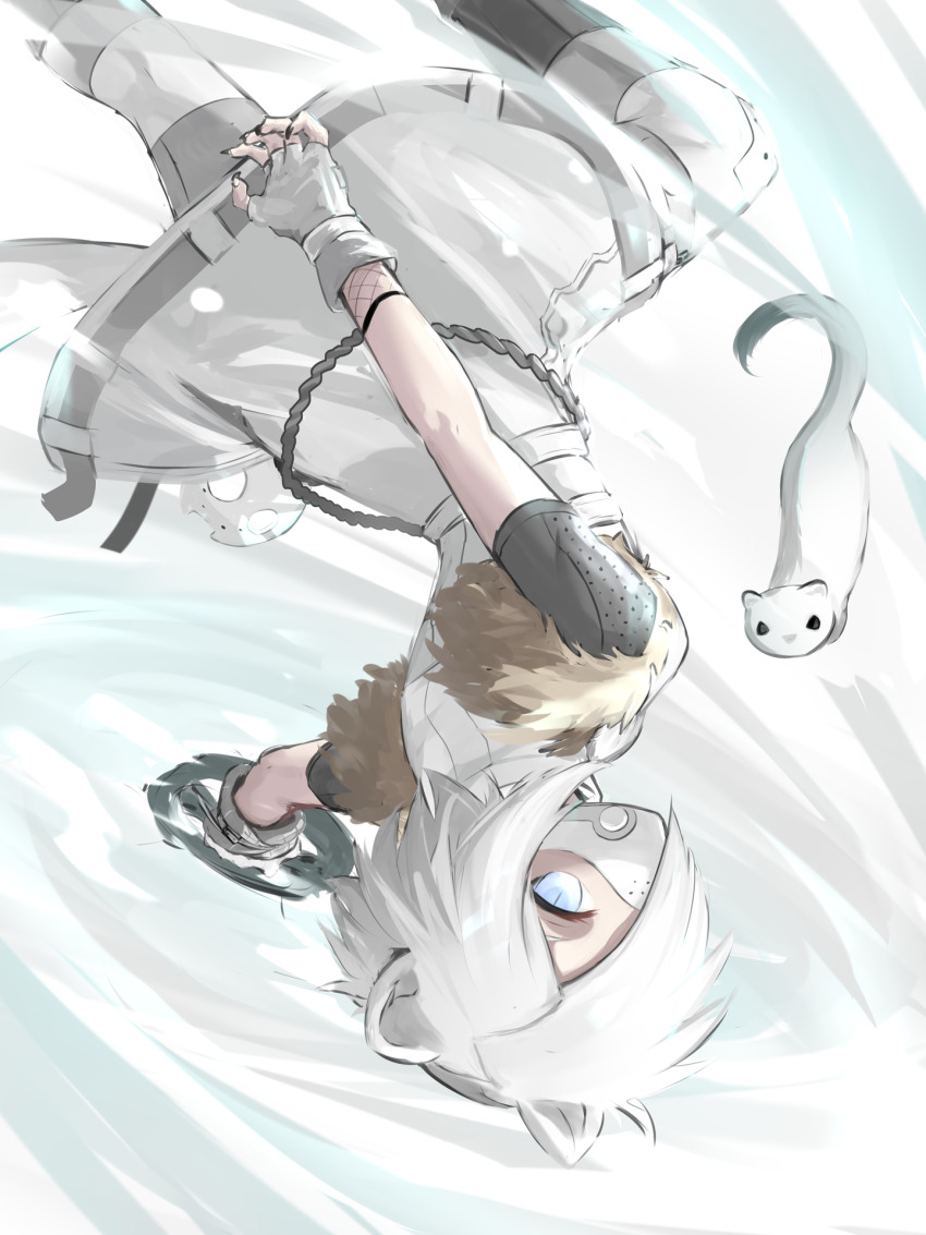 1girl, animal_ears, arknights, blue_eyes, ermine, ferret, fingerless_gloves, gloves