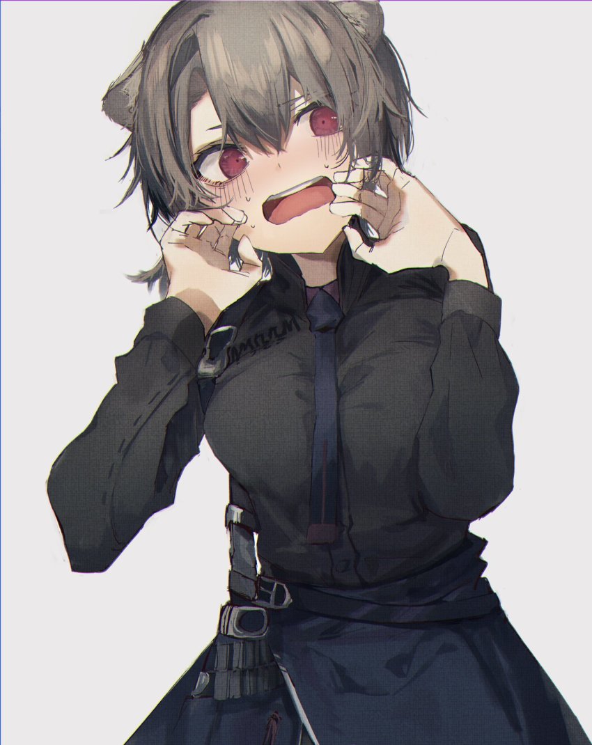 1girl, absinthe_(arknights), animal_ears, arknights, bear_ears, belt, black_shirt, blue_necktie, blush, breasts, clothes_around_waist, collared_shirt, commentary_request, cowboy_shot, embarrassed, grey_background, grey_hair, hands_up, highres, jacket, jacket_around_waist, large_breasts, long_sleeves, mokuro3m, necktie, open_mouth, red_eyes, shirt, short_hair, simple_background, solo, sweat, teeth, upper_teeth_only