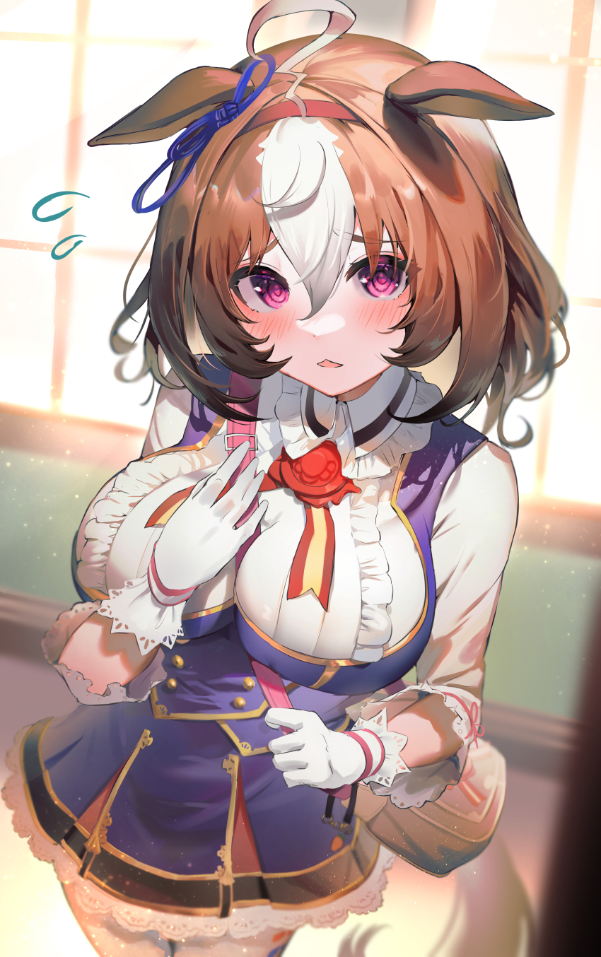 1girl, absurdres, ahoge, animal_ears, blue_ribbon, bow, breasts, brown_hair