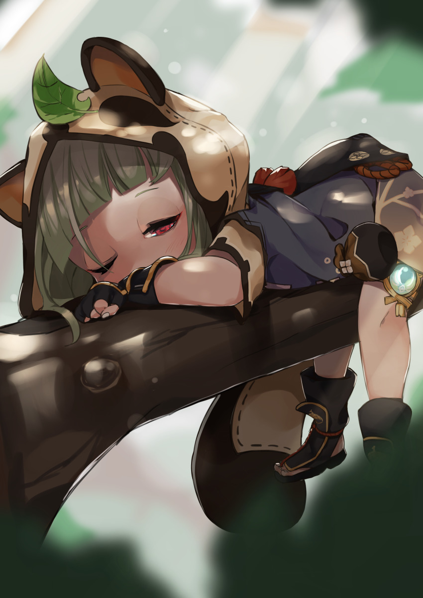 1girl, absurdres, animal_ears, animal_hood, arm_guards, blunt_bangs, blurry, branch