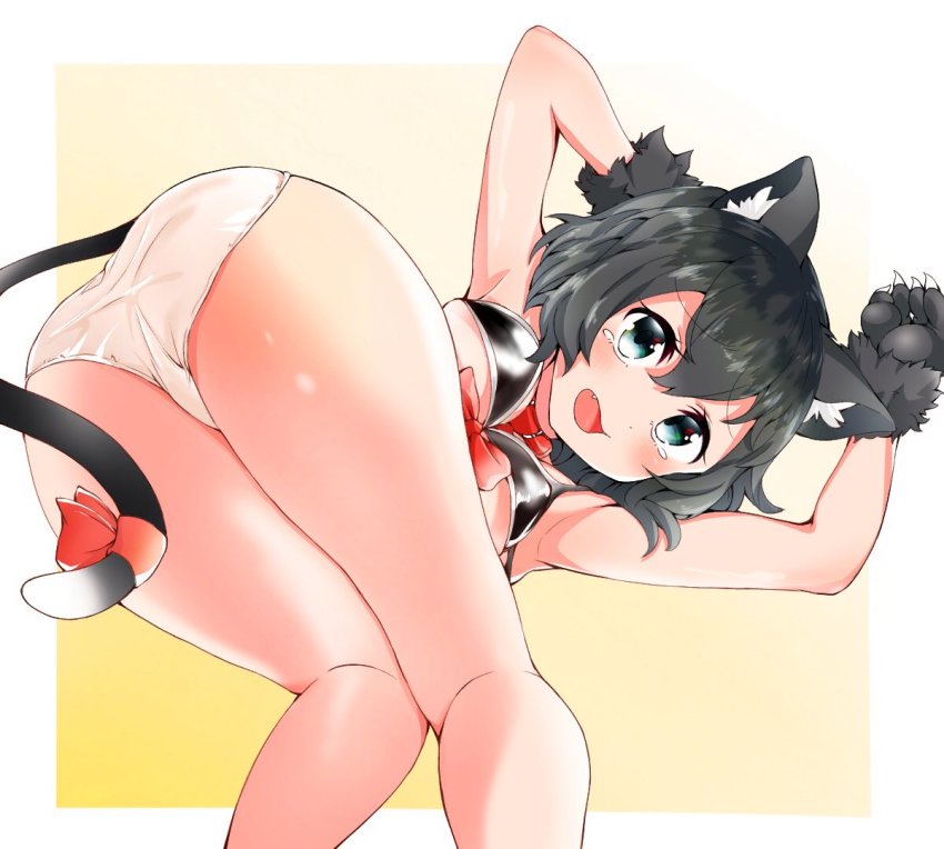 1girl, animal_collar, animal_ears, animal_hands, arms_up, ass, bad_id, bad_twitter_id, bent_over, black_bra, black_hair, blush, bra, cat_ears, cat_tail, collar, commentary_request, fang, from_behind, gloves, kaban_(kemono_friends), kemono_friends, kemonomimi_mode, kobacha_(ochakoba), looking_at_viewer, looking_back, open_mouth, panties, paw_gloves, ribbon, short_hair, solo, standing, tail, tail_ornament, tail_ribbon, tearing_up, underwear, white_panties