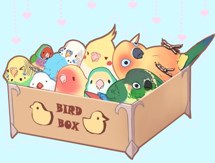 >_<, animal_focus, beak, bird, blue_feathers, box, budgerigar_(bird), cockatiel, feathers, ftf, green_feathers, heart, java_sparrow, lovebird, lowres, lying, no_humans, on_back, orange_feathers, original, parakeet, parrot, simple_background, sun_conure, talons, white_feathers, white_java_sparrow, yellow_feathers