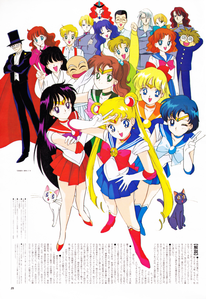 6+boys, 6+girls, aino_minako, artemis_(sailor_moon), bishoujo_senshi_sailor_moon, black_cat, blue_eyes, blue_hair