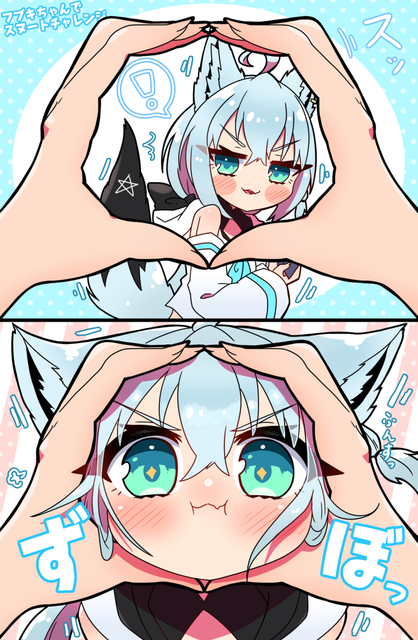!, 1girl, :i, ^^^, ahoge, animal_ear_fluff, animal_ears, blush, braid, commentary_request, detached_sleeves, fingers_together, fox_ears, fox_girl, fox_tail, green_eyes, hair_between_eyes, highres, hololive, hood, hoodie, long_hair, looking_at_viewer, pentagram, pov, pov_hands, sakuramochi_(sakura_frappe), shirakami_fubuki, shirakami_fubuki_(1st_costume), sidelocks, single_braid, smirk, snoot_challenge, sparkling_eyes, spoken_exclamation_mark, tail, v-shaped_eyebrows, virtual_youtuber, white_hair, white_hoodie