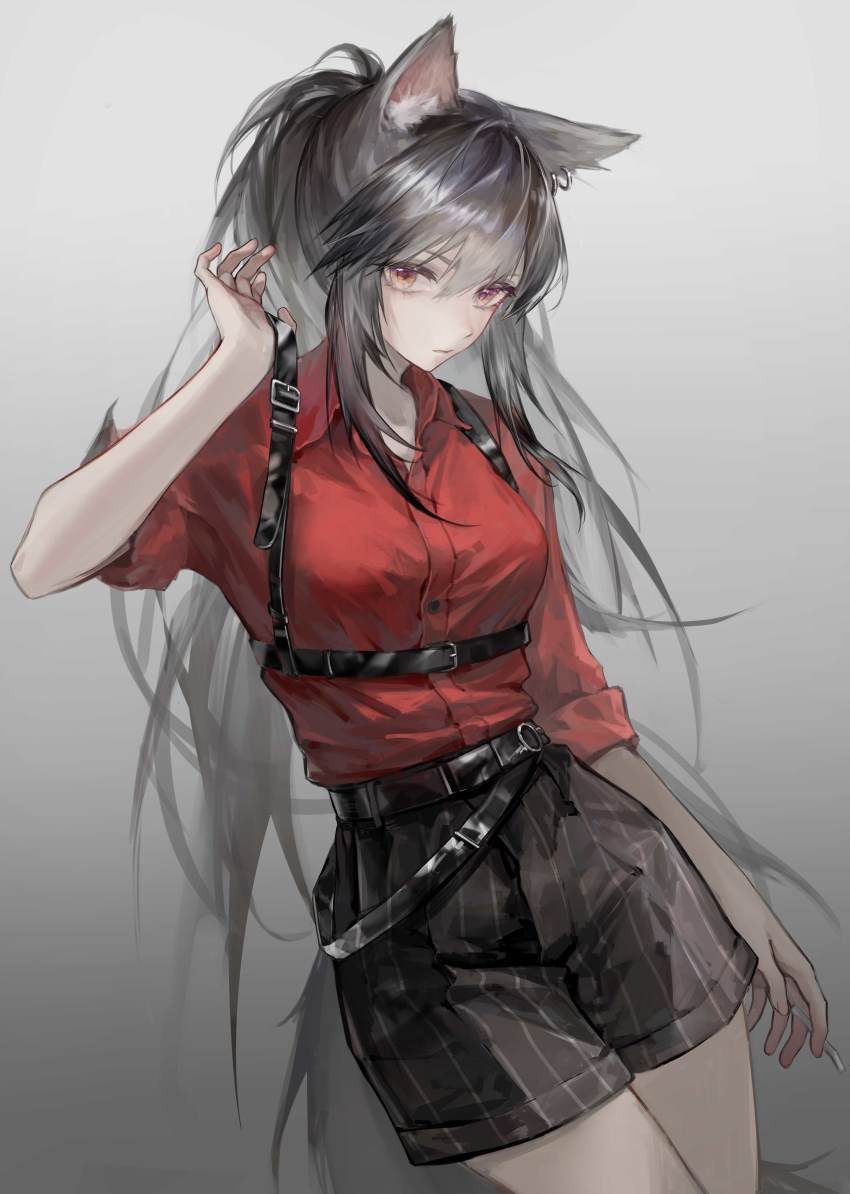 1girl, absurdres, animal_ears, arknights, belt, black_belt, black_hair, black_shorts