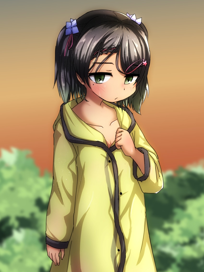1girl, black_hair, blush, braid, bush, closed_mouth, coat, green_eyes