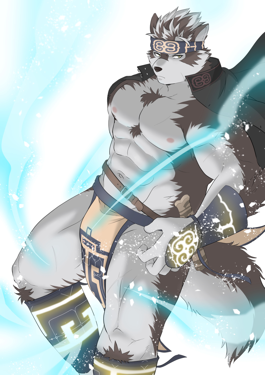 1boy, abs, absurdres, ainu_clothes, animal_ears, bara, bare_pectorals, bulge, chest_hair, feet_out_of_frame, fighting_stance, frown, furry, furry_male, glowing, grey_hair, headband, highres, horkeu_kamui, ioenami, large_pectorals, large_tail, male_focus, muscular, muscular_male, navel, nipples, pectorals, pelvic_curtain, revealing_clothes, short_hair, simple_background, snow, solo, stomach, tail, thick_thighs, thighs, tokyo_houkago_summoners, two-tone_fur, white_background, white_fur, wind, wolf_boy, wolf_ears, wolf_tail, yellow_eyes