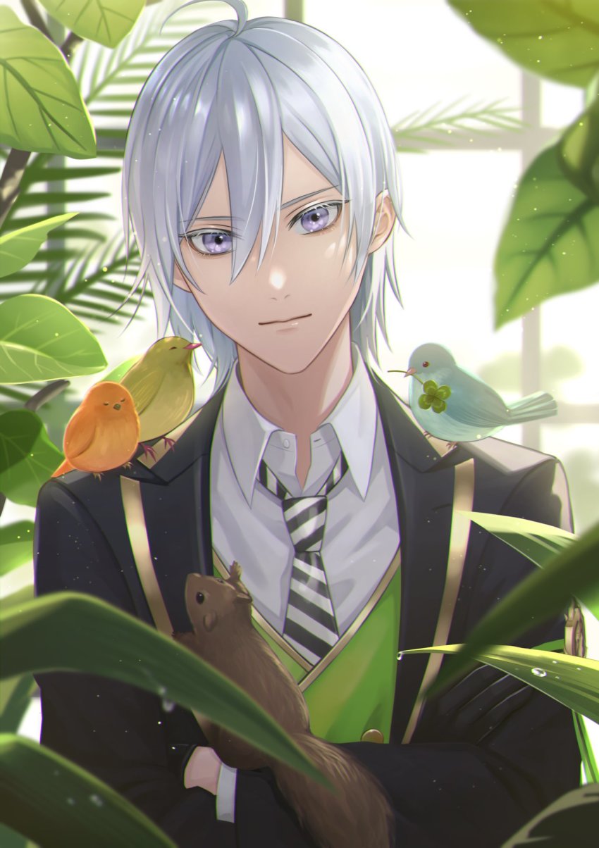 1boy, animal, animal_on_shoulder, bird, bird_on_shoulder, black_gloves, black_jacket, closed_mouth