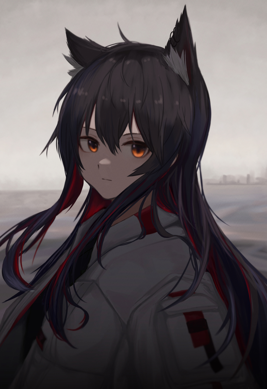 1girl, absurdres, ahoge, animal_ears, arknights, black_hair, coat, commentary