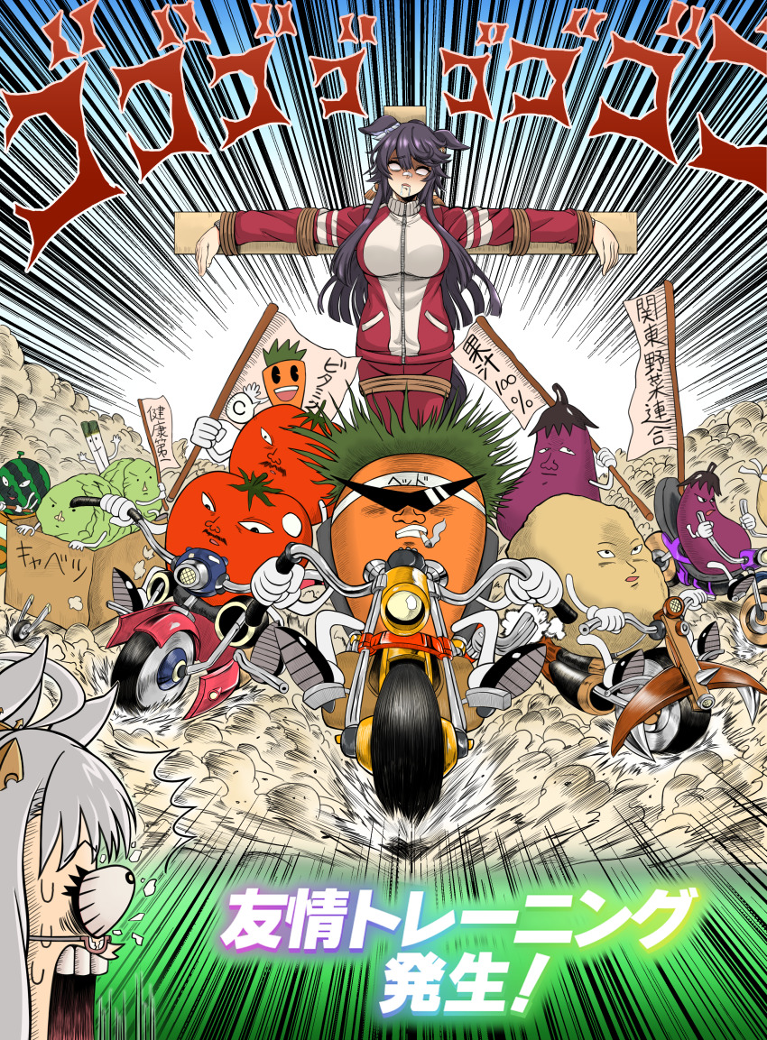 2girls, absurdres, animal_ears, bandaid, bandaid_on_face, bandaid_on_nose, biwa_hayahide_(umamusume), black_hair