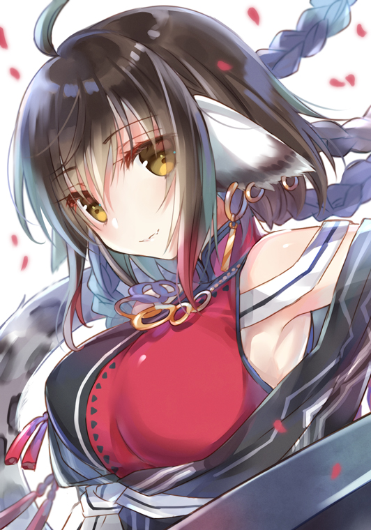 1girl, aged_up, ahoge, ainu_clothes, animal_ears, anju_(utawarerumono), aquaplus, braid
