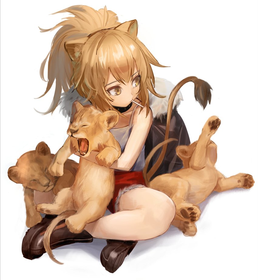 1girl, absurdres, aged_down, animal, animal_ears, arknights, black_boots, black_collar, boots, brown_hair, candy, collar, cub, food, full_body, fur-trimmed_jacket, fur-trimmed_shorts, fur_trim, highres, holding, holding_animal, indian_style, jacket, kegani_(kegani01), lion, lion_ears, lion_girl, lion_tail, lollipop, looking_to_the_side, mouth_hold, ponytail, red_shorts, shorts, siege_(arknights), simple_background, sitting, solo, studded_collar, tail, tank_top, unworn_jacket, white_background, white_tank_top, yellow_eyes