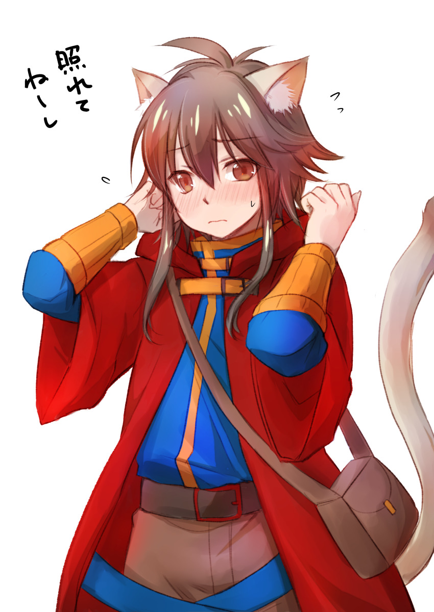 1boy, absurdres, animal_ear_fluff, animal_ears, bag, belt, blue_shirt, blush, brown_bag, brown_belt, brown_eyes, brown_hair, brown_pants, cat_boy, cat_ears, cat_tail, cheshire_(ragnarok_online), cloak, closed_mouth, commentary_request, cowboy_shot, hair_between_eyes, highres, long_sleeves, looking_at_viewer, male_focus, manoji, medium_hair, nose_blush, pants, ragnarok_online, red_cloak, shirt, simple_background, solo, tail, translation_request, white_background