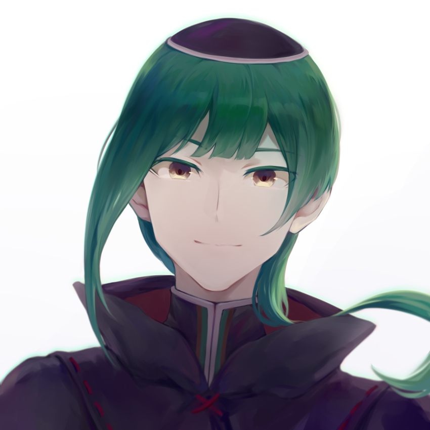 1boy, blunt_bangs, brown_eyes, green_hair, hat, highres, long_hair, low_ponytail