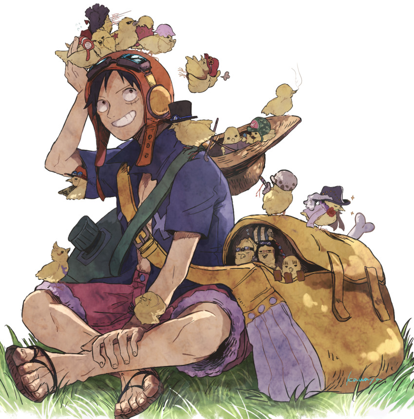 1boy, asapbn, baby_animal, backpack, bag, basil_hawkins, bird, cavendish_(one_piece)