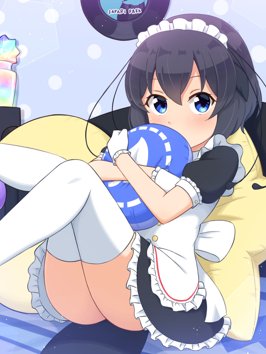 1girl, absurdres, antennae, black_hair, blue_eyes, commentary, frills, gloves