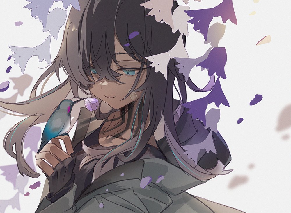 1girl, arknights, awa_iro, bandaid, bird, black_hair, black_shirt, blue_eyes