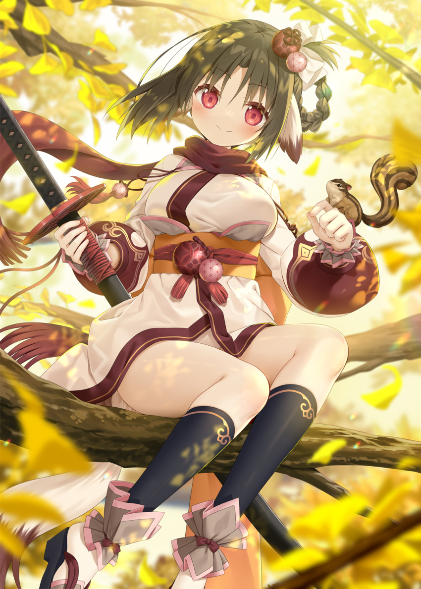 1girl, ainu_clothes, animal, animal_ears, aquaplus, bell, blurry, blurry_background, blush, braid, branch, breasts, brown_hair, closed_mouth, dress, falling_leaves, fingernails, full_body, hair_between_eyes, hair_ornament, high_heels, highres, holding, holding_sheath, holding_sword, holding_weapon, in_tree, inui_(utawarerumono), katana, large_breasts, leaf, long_sleeves, looking_at_viewer, medium_hair, official_art, orange_sash, outdoors, panties, pantyshot, raised_eyebrows, red_eyes, red_scarf, sash, scarf, sheath, sheathed, sidelocks, sitting, sitting_in_tree, smile, socks, solo, squirrel, squirrel_ears, squirrel_tail, sunlight, sword, tail, thighs, tree, tree_shade, underwear, utawarerumono, utawarerumono:_lost_flag, utawarerumono:_lost_flag_support_illustration_relay, weapon, white_panties, yano_mitsuki_(nanairo)