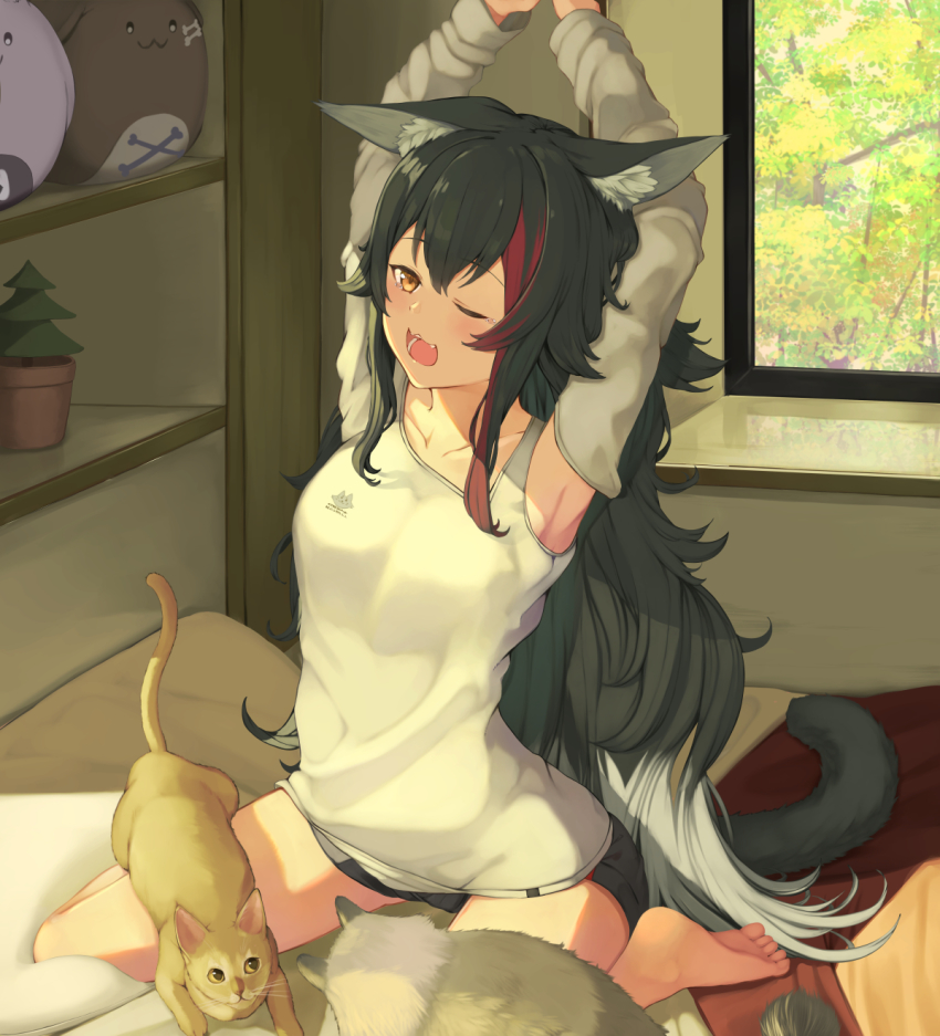 1girl, animal_ear_fluff, animal_ears, arms_up, barefoot, black_hair, black_shorts, blush
