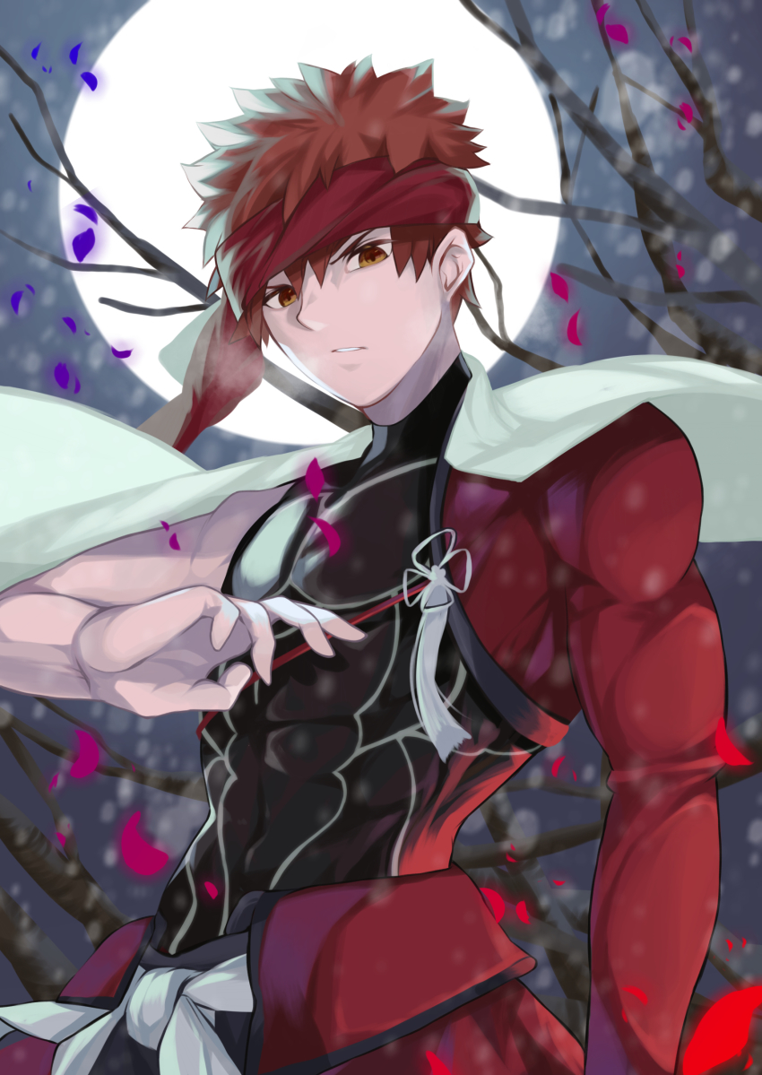 1boy, absurdres, armor, cape, emiya_shirou, emiya_shirou_(archer_install)_(prisma_illya), emiya_shirou_(prisma_illya), falling_petals