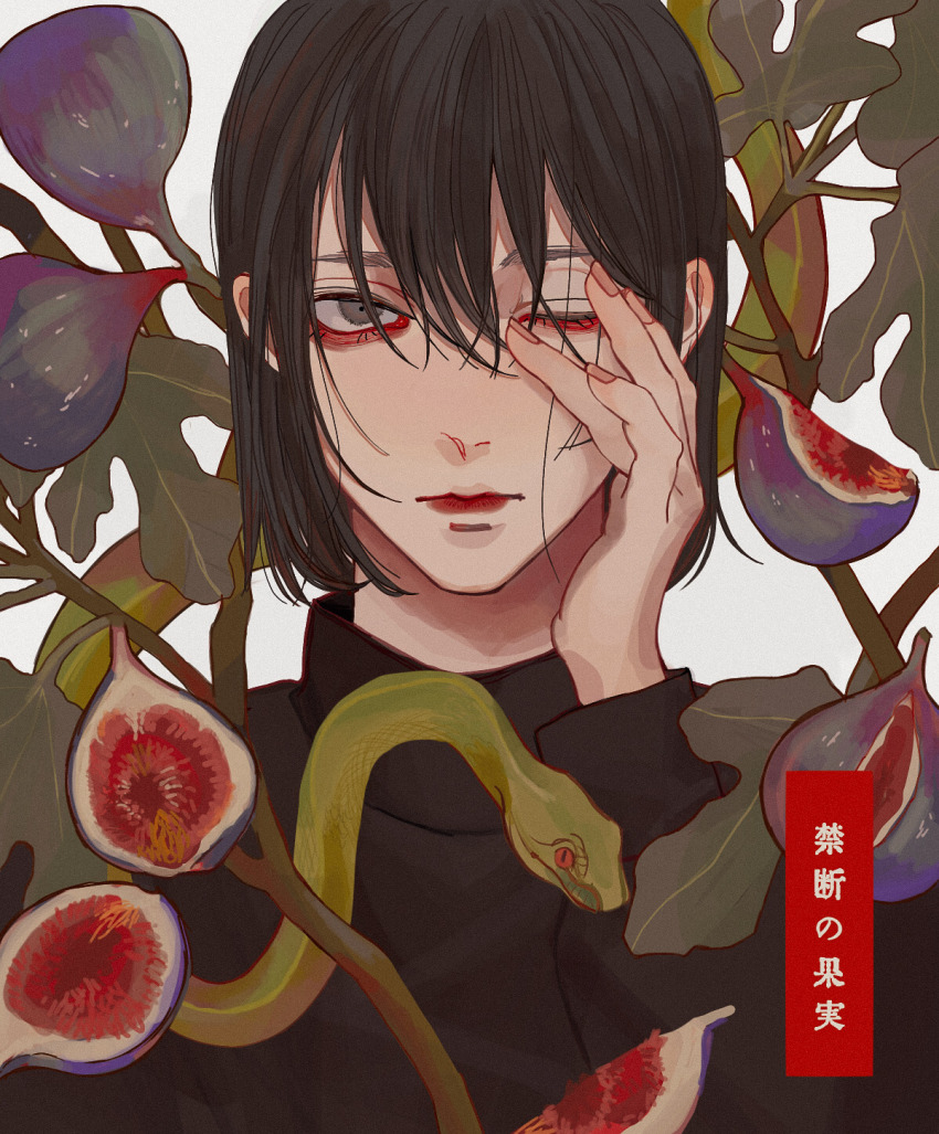 1boy, bishounen, black_hair, black_shirt, bob_cut, brown_eyes, closed_mouth, fig