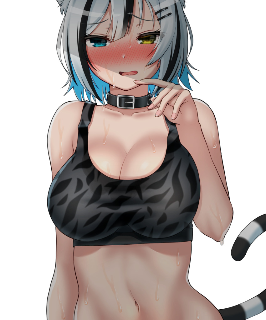 1girl, animal_collar, animal_ears, black_hair, blue_eyes, blue_hair, blush, breasts