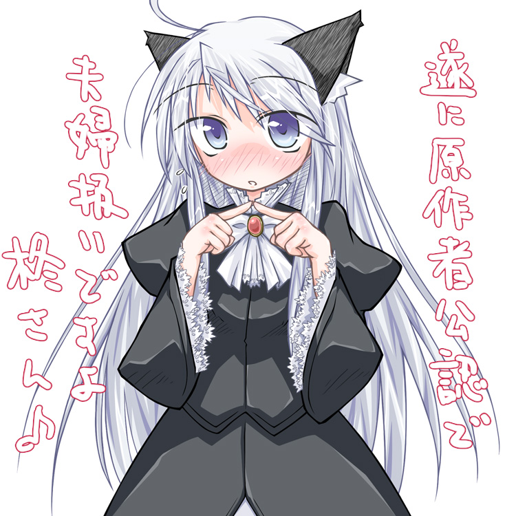 00s, 1girl, animal_ears, anzelotte, bad_id, bad_pixiv_id, blue_eyes, blush, cat_ears, female_focus, kani_zousui_(kanijiru), kanijiru, long_hair, night_wizard, silver_hair, solo