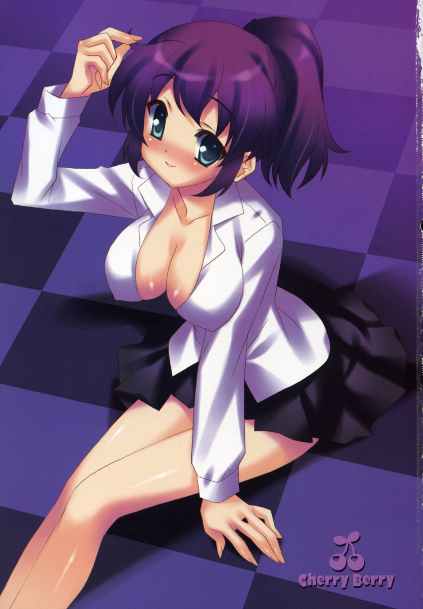 00s, blue_eyes, breasts, cleavage, henrietta_de_tristain, highres, ponytail, purple_hair, satomi_hinako, scan, shirt, skirt, zero_no_tsukaima