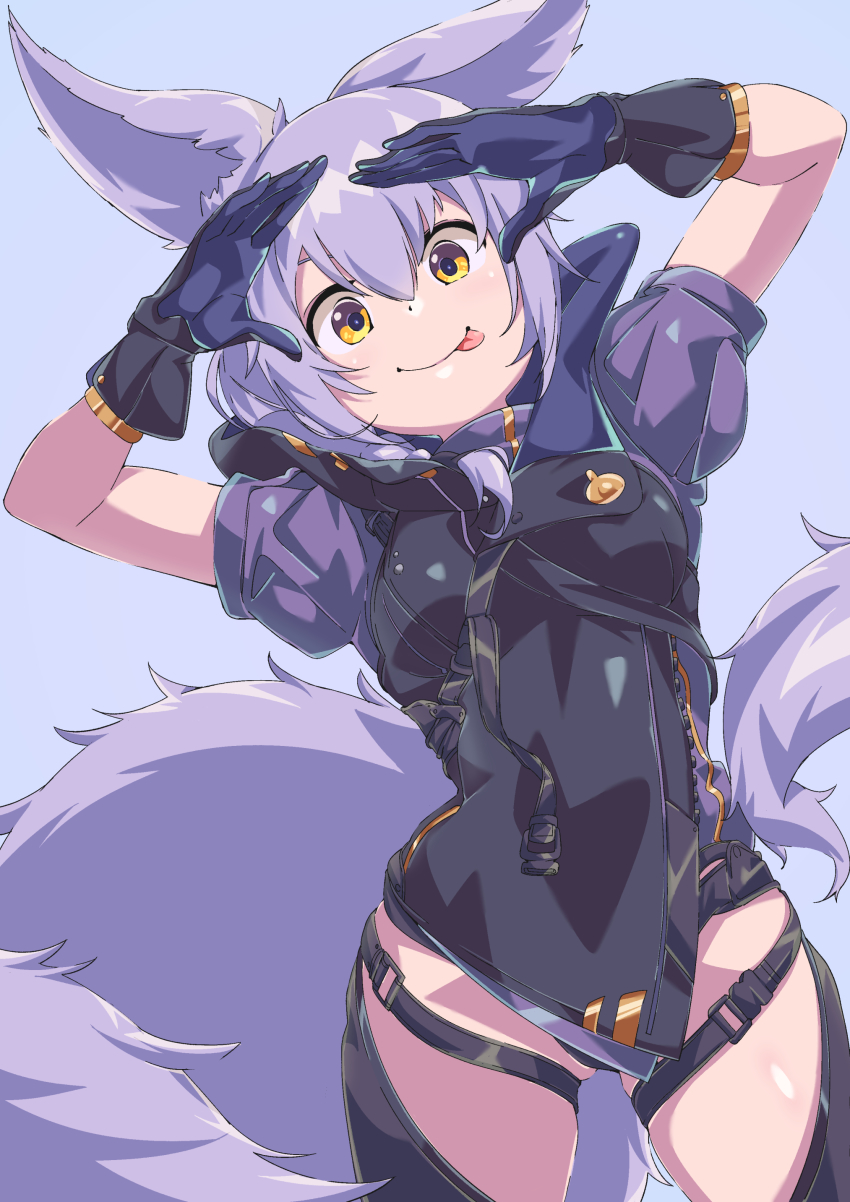 1girl, :p, absurdres, animal_ears, arknights, arms_up, braid, commentary_request, cowboy_shot, gloves, hair_between_eyes, highres, jacket, large_tail, looking_at_viewer, provence_(arknights), puffy_short_sleeves, puffy_sleeves, purple_background, purple_hair, purple_jacket, purple_tail, sajimaririri, short_hair, short_sleeves, simple_background, single_braid, smile, solo, standing, tail, thigh_strap, thighs, tongue, tongue_out, wolf_ears, yellow_eyes