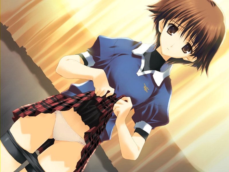 1girl, androgynous, bike_shorts, bike_shorts_pull, breasts, brown_eyes, brown_hair, clothes_lift, clothes_pull, collared_shirt, cowboy_shot, curtains, dutch_angle, emblem, female_focus, game_cg, hazuki_maho, indoors, lifting_own_clothes, looking_at_viewer, maho_hazuki, midriff, mitsumi_misato, nakamura_takeshi, panties, pantyshot, plaid_clothes, plaid_skirt, pleated_skirt, polo_shirt, puffy_short_sleeves, puffy_sleeves, raised_eyebrows, red_skirt, shirt, short_sleeves, shorts, shorts_pull, skirt, skirt_lift, small_breasts, solo, spandex, standing, tenshi_no_inai_12-gatsu, thigh_gap, tomboy, turtleneck, underwear, undressing, white_panties