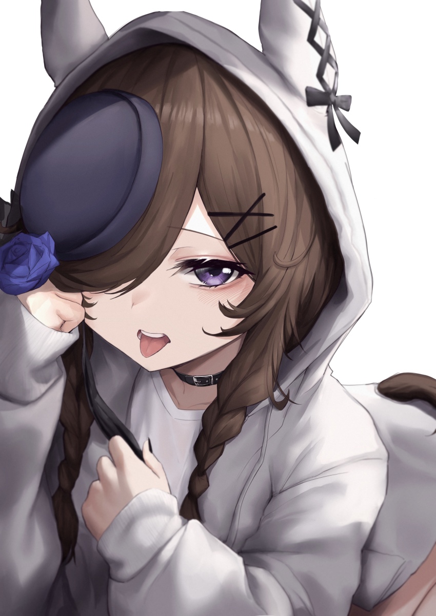 1girl, absurdres, blue_flower, blue_rose, braid, brown_hair, choker, commentary_request