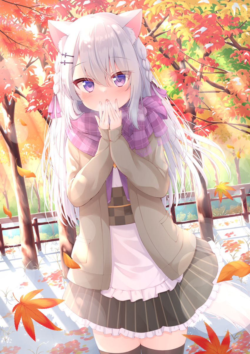 1girl, absurdres, animal_ears, black_thighhighs, cafe_omusubiya, highres, isoroku_(isrk), jacket