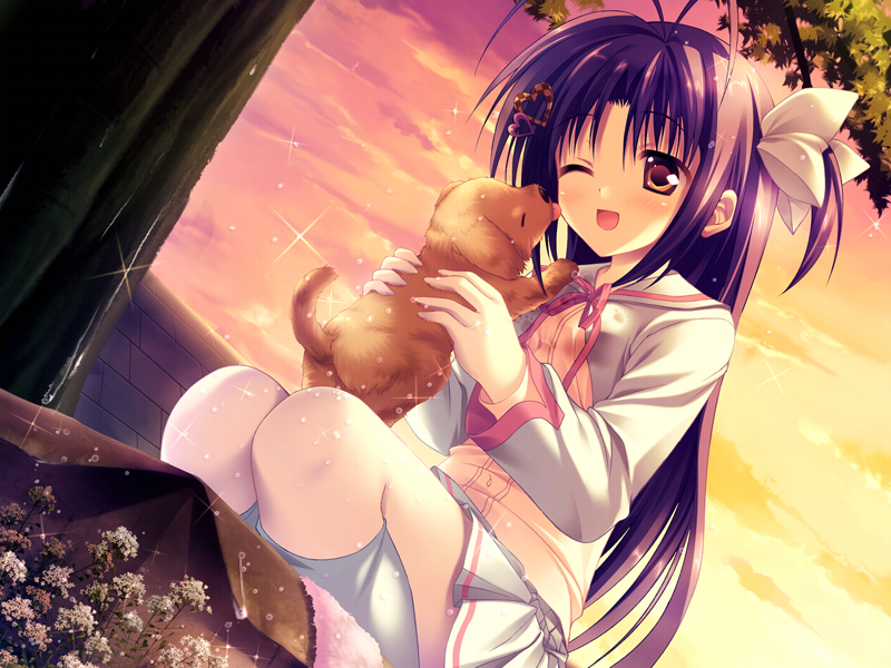 1girl, antenna_hair, baby_animal, blush, dog, female_focus, flower, game_cg, hair_ornament, hair_ribbon, heart, holding, itsukushima_eri, kneehighs, licking, long_hair, one_eye_closed, open_mouth, princess_party, puppy, purple_hair, ribbon, school_uniform, side_ponytail, sky, smile, socks, solo, sparkle, squatting, sunset, tateha_(marvelous_grace), tongue, tree, wink