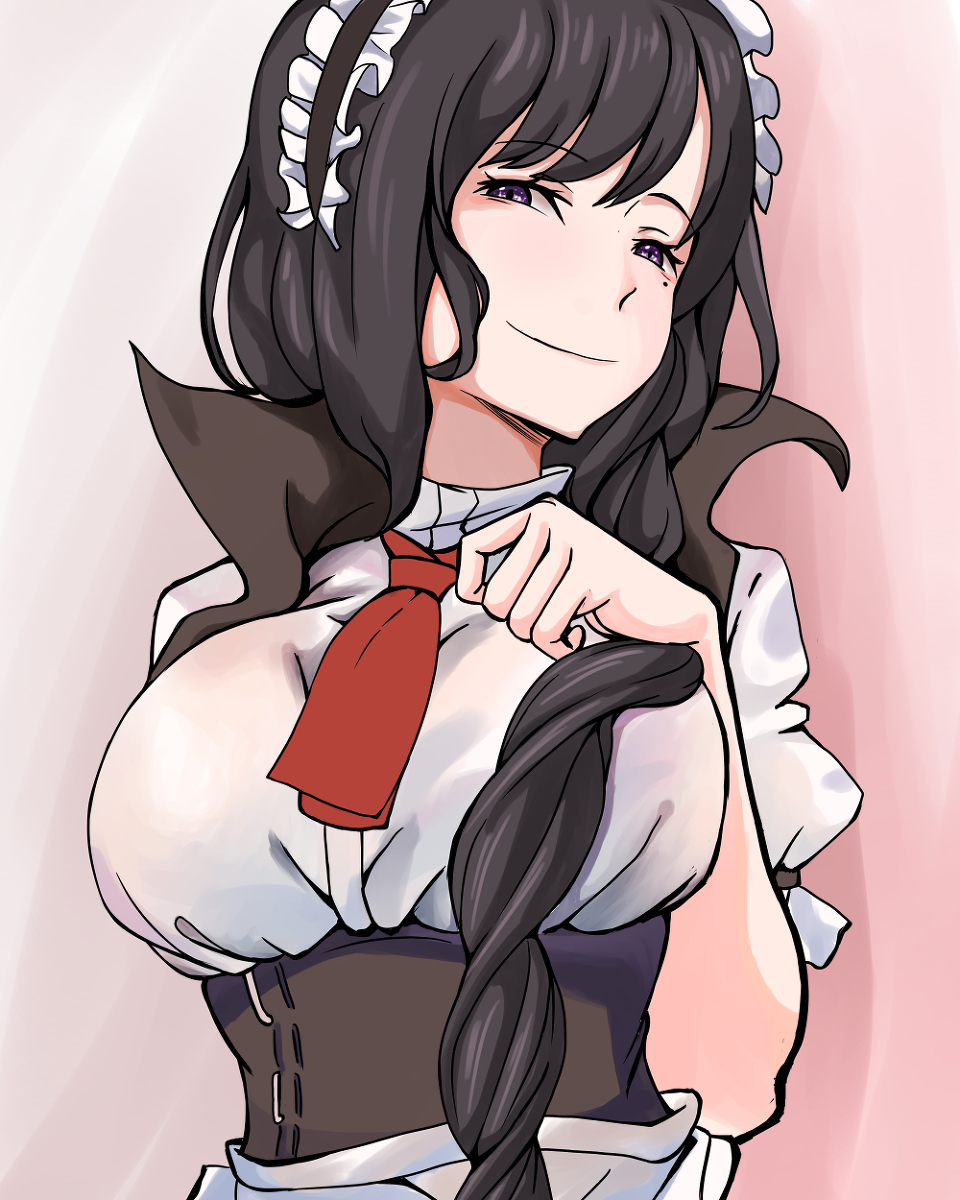 1girl, alternate_costume, black_hair, braid, braided_ponytail, breasts, corset, elsa_granhilte