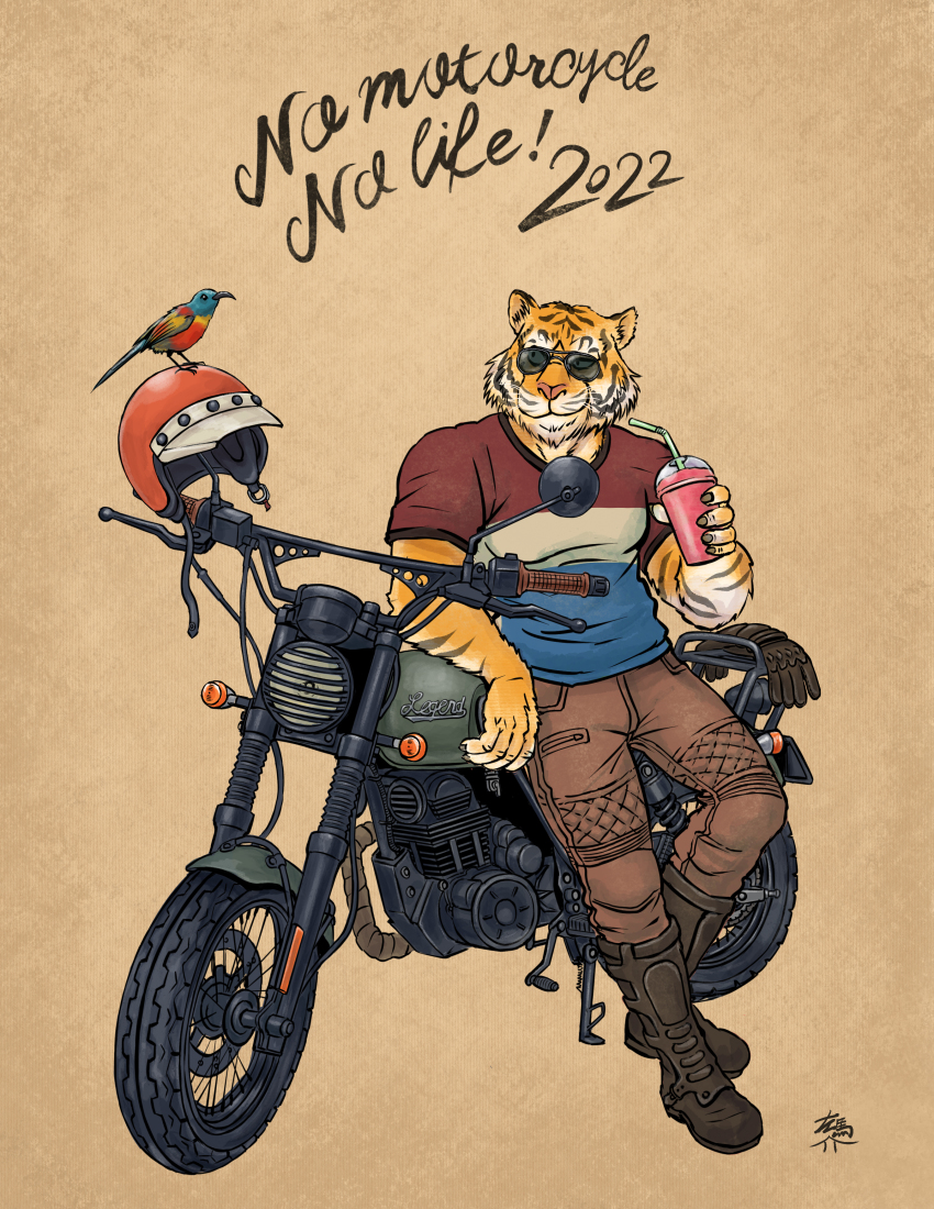 1boy, 2022, absurdres, bird, boots, chinese_zodiac, cup, disposable_cup, drinking_straw, english_text, furry, furry_male, unworn_headwear, helmet, unworn_helmet, highres, holding, kickstand, leaning_on_object, male_focus, motor_vehicle, motorcycle, original, samanokami0122, shirt, short_sleeves, simple_background, sunglasses, t-shirt, tiger, year_of_the_tiger