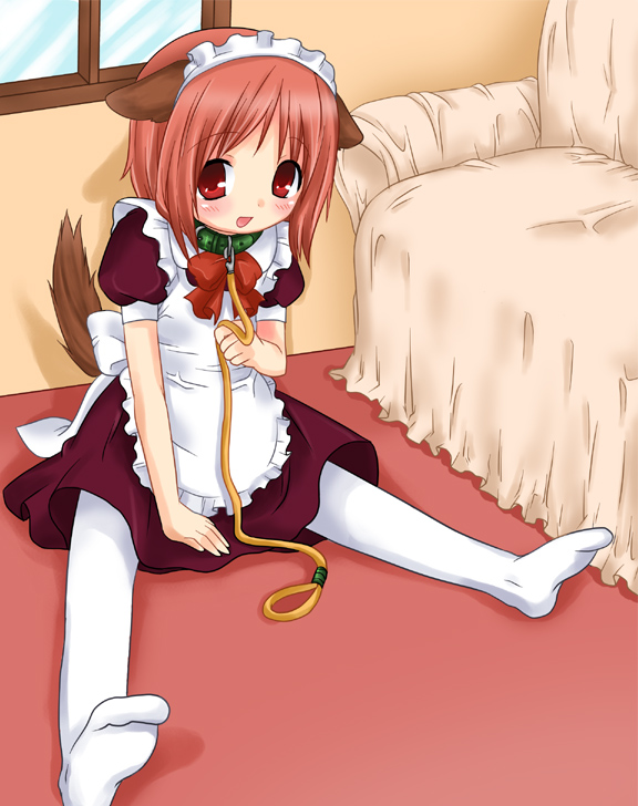 1girl, animal_ears, dog_ears, female_focus, leash, maid, original, pantyhose