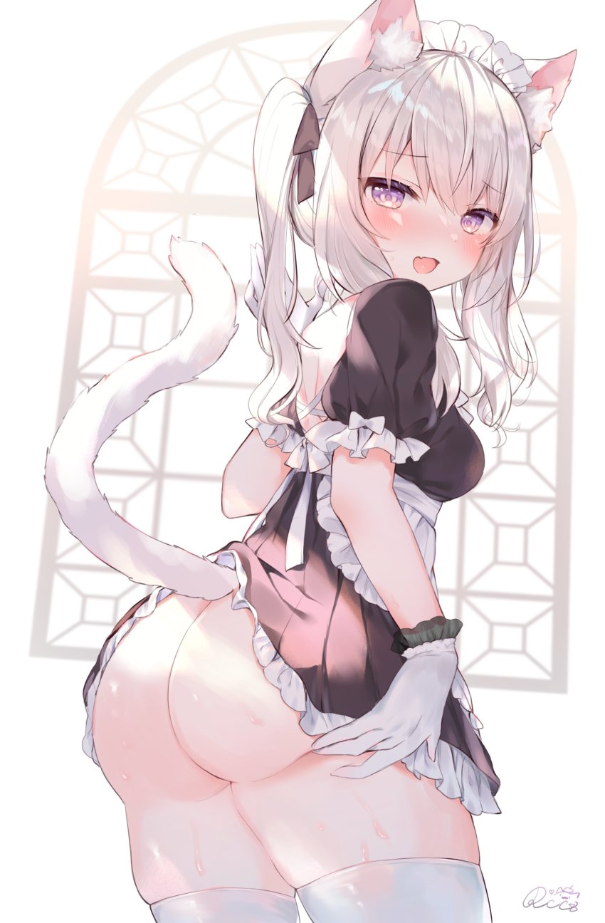 1girl, :d, absurdres, animal_ears, apron, ass, black_shirt, black_skirt, blush, breasts, cat_ears, cat_girl, cat_tail, cowboy_shot, fang, frilled_apron, frilled_gloves, frills, from_behind, gloves, grey_hair, hair_between_eyes, highres, looking_at_viewer, looking_back, maid, maid_headdress, medium_breasts, no_panties, open_mouth, original, pleated_skirt, puffy_short_sleeves, puffy_sleeves, purple_eyes, rucaco, shirt, short_sleeves, signature, skirt, smile, solo, sweat, tail, thighhighs, white_apron, white_background, white_gloves, white_thighhighs, window