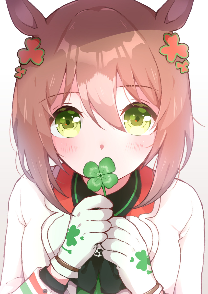 1girl, animal_ears, blush, brown_hair, clover, clover_hair_ornament, clover_print, commentary_request