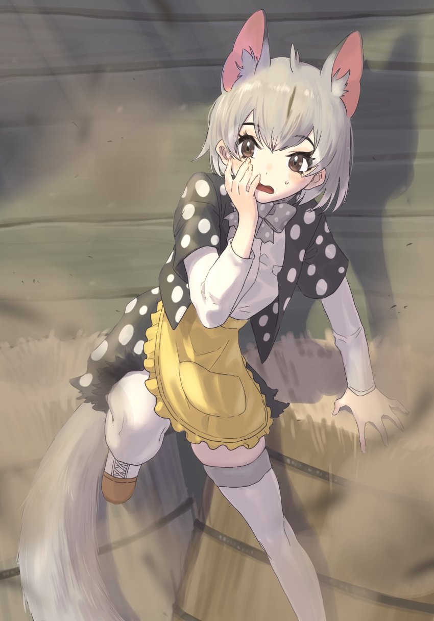 animal_ear_fluff, animal_ears, apron, black_jacket, bow, bowtie, brown_eyes, eastern_quoll_(kemono_friends), extra_ears, grey_bow, grey_bowtie, hay_bale, highres, inaniku_illust, jacket, kemono_friends, long_sleeves, mouse_ears, mouse_girl, mouse_tail, polka_dot, polka_dot_bow, polka_dot_bowtie, polka_dot_jacket, shirt, short_hair, solo, tail, thighhighs, white_hair, white_shirt, white_thighhighs, yellow_apron, zettai_ryouiki